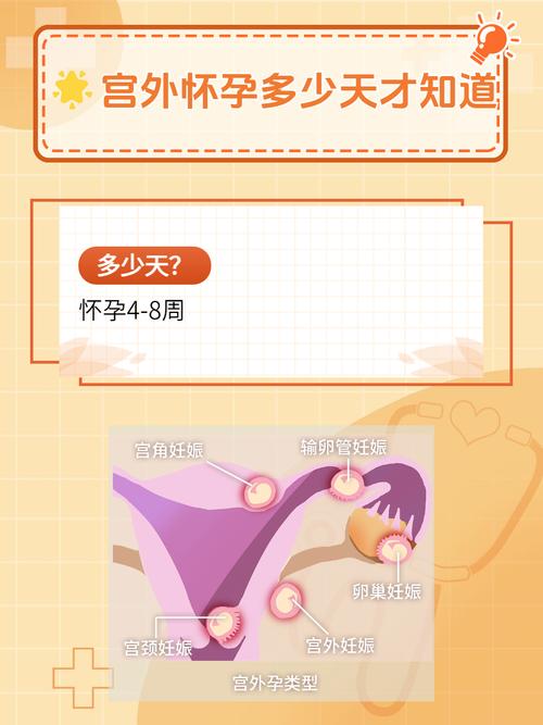 易孕期射外面会怀孕吗-第2张图片-郑州医学网