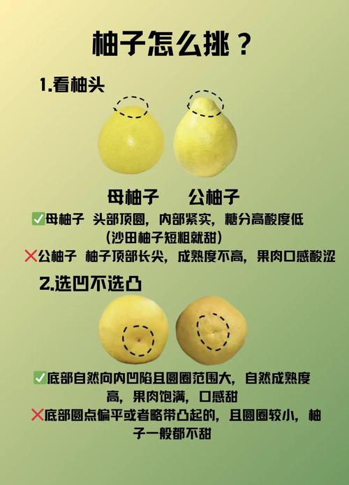 孕期用宝宝树还是美柚？两款APP功能差异大，新手妈妈该怎么选？-第3张图片-郑州医学网