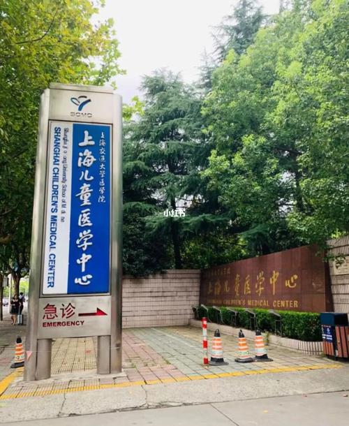 上海儿童医学中心有哪些特色科室和权威专家？-第3张图片-郑州医学网