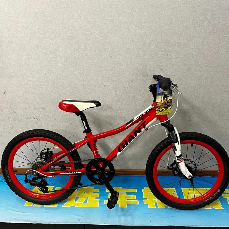 儿童自行车选什么材质更安全耐用?铝合金与钢架哪个更适合孩子日常骑行?-第3张图片-郑州医学网 儿童自行车选什么材质更安全耐用?铝合金与钢架哪个更适合孩子日常骑行?-第3张图片-郑州医学网