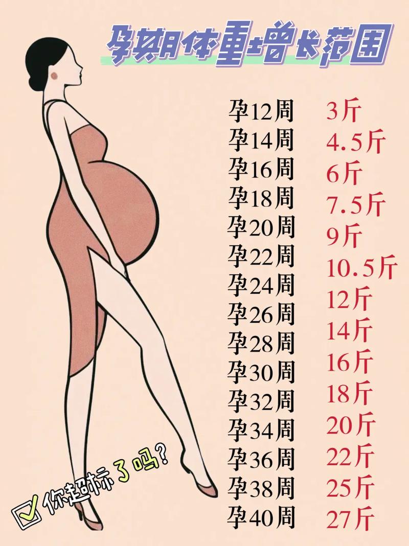 怀孕期间体重增长多少算正常?不同孕周该如何科学控制?-第2张图片-郑州医学网 怀孕期间体重增长多少算正常?不同孕周该如何科学控制?-第2张图片-郑州医学网