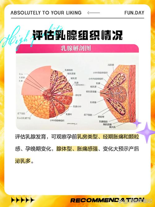 孕期怎么看有没有奶水-第1张图片-郑州医学网