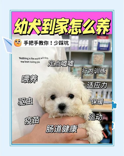 新生儿家里到底能不能养宠物？需要注意哪些问题？-第1张图片-郑州医学网