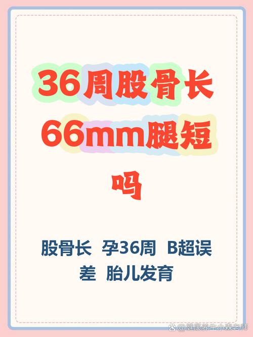 孕期股骨长偏短怎么办-第3张图片-郑州医学网