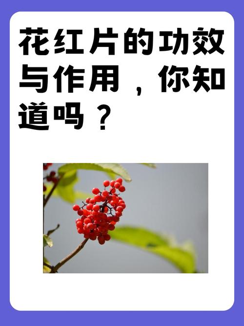 备孕期间服用花红片是否安全?对怀孕有潜在影响吗?-第2张图片-郑州医学网 备孕期间服用花红片是否安全?对怀孕有潜在影响吗?-第2张图片-郑州医学网