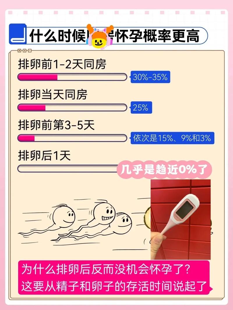 备孕期间到底什么时候同房最容易受孕？-第2张图片-郑州医学网