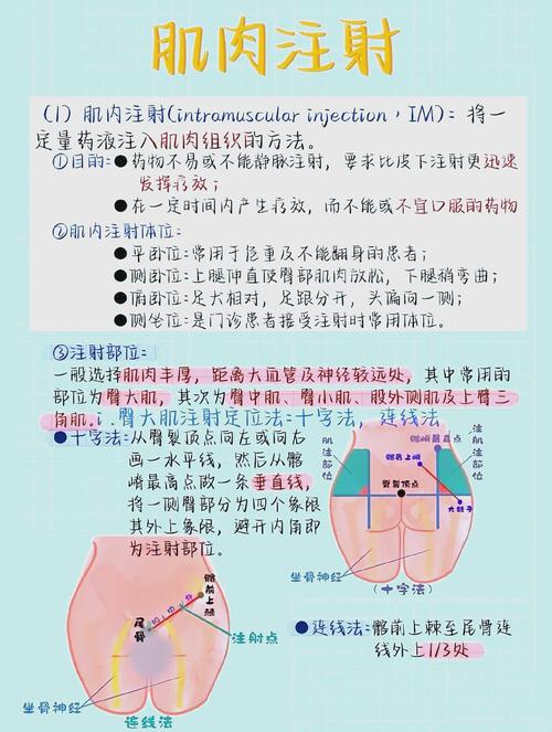 新生儿肌注部位图片具体在哪里？不同月龄宝宝注射位置有区别吗？-第2张图片-郑州医学网