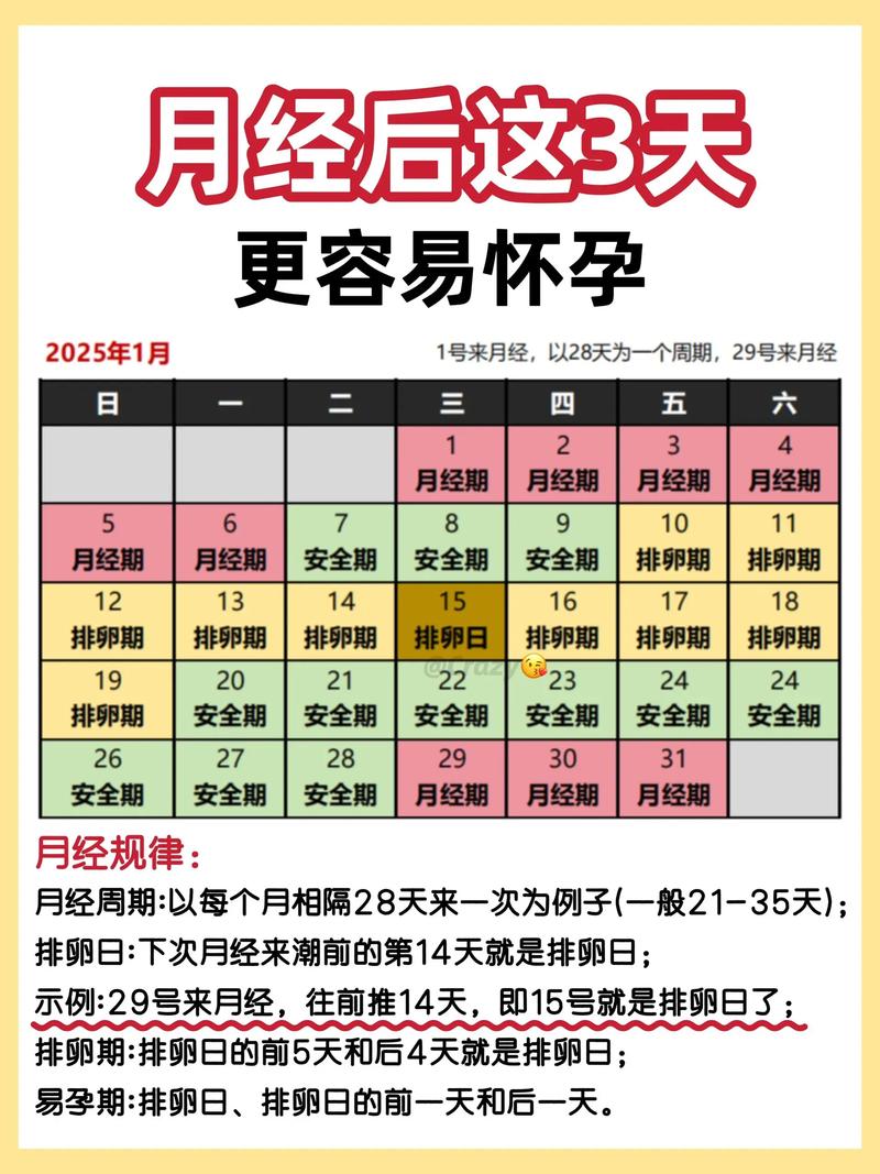 最佳受孕期是什么时间？如何科学计算排卵期提高受孕成功率？-第2张图片-郑州医学网