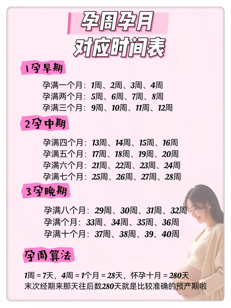 最佳受孕期是什么时间？如何科学计算排卵期提高受孕成功率？-第3张图片-郑州医学网