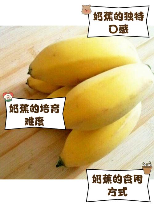 孕期便秘吃香蕉真的能缓解吗?真相或许和你想的不一样!-第3张图片-郑州医学网 孕期便秘吃香蕉真的能缓解吗?真相或许和你想的不一样!-第3张图片-郑州医学网