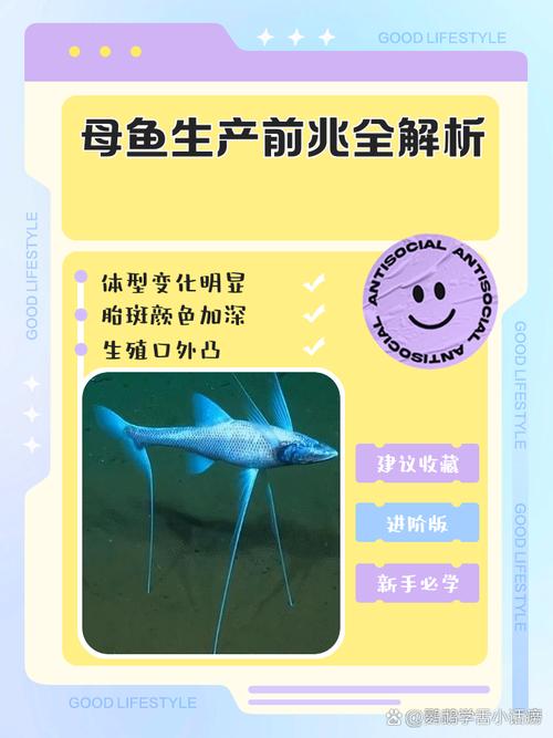 孕期梦到鱼是胎儿的征兆还是心理暗示？-第2张图片-郑州医学网