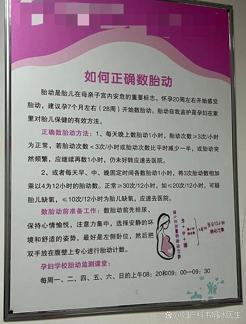 孕期胎动鼓包是女孩吗？这种说法有科学依据吗？-第1张图片-郑州医学网