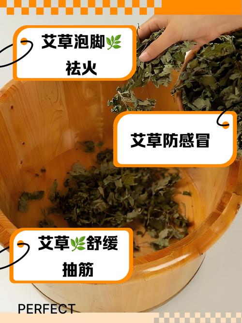 儿童用艾草泡脚真的安全吗？家长需注意哪些事项？-第3张图片-郑州医学网