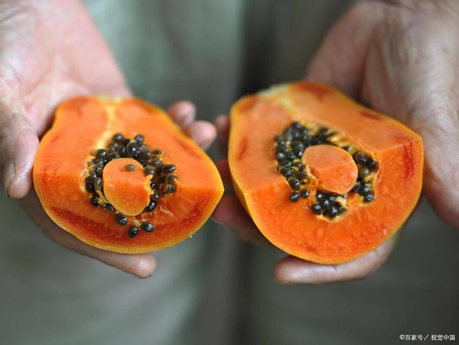 备孕期间吃木瓜会影响受孕吗？有哪些注意事项？-第3张图片-郑州医学网