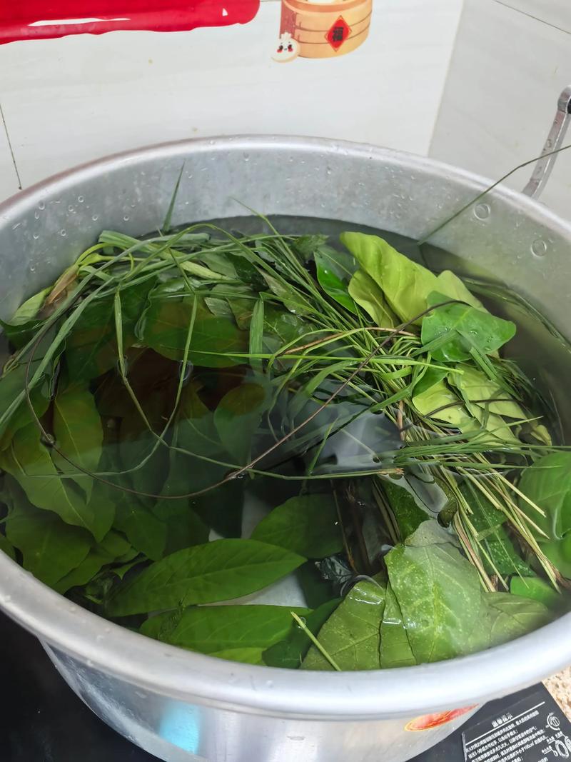 婆婆给新生儿喝草药水，这种行为真的科学吗？会对宝宝健康造成哪些潜在风险？-第3张图片-郑州医学网