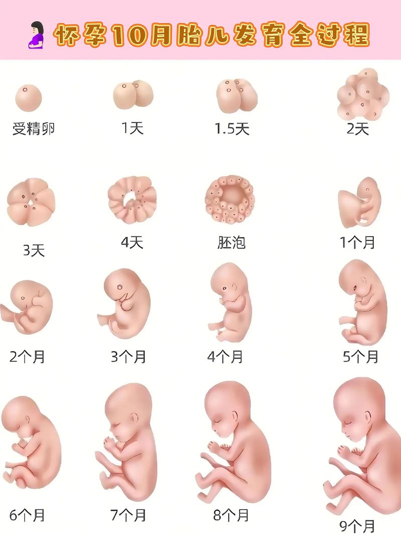 怀孕期间接触新生儿会有健康风险吗?需要注意哪些防护措施?-第1张图片-郑州医学网 怀孕期间接触新生儿会有健康风险吗?需要注意哪些防护措施?-第1张图片-郑州医学网