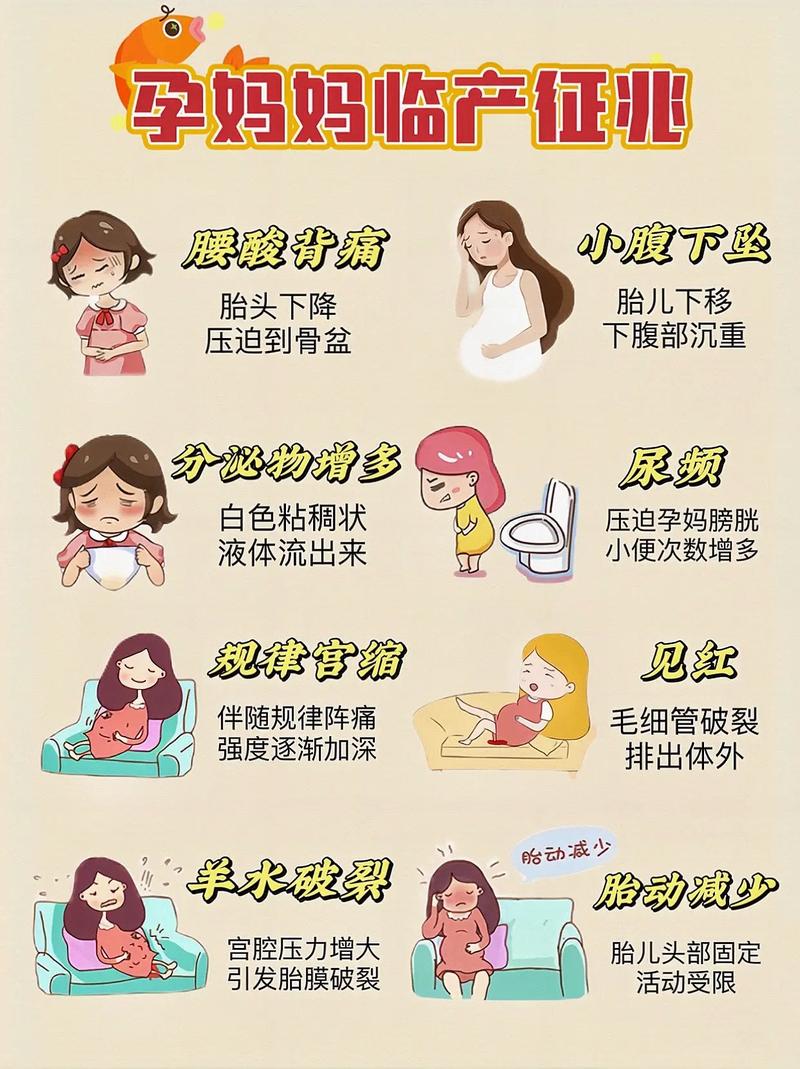 临产前身体会发出哪些信号？这些症状出现时该如何正确应对？-第1张图片-郑州医学网