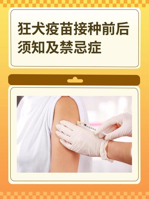 孕期被狗咬了，到底能不能打狂犬疫苗？对胎儿有影响吗？-第3张图片-郑州医学网