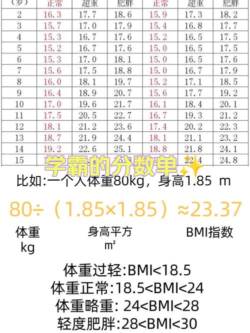 儿童标准BMI对照表，不同年龄段如何科学解读与实际应用？-第2张图片-郑州医学网