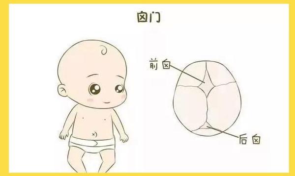 新生儿头顶卤门不跳动是正常现象还是异常信号？需警惕哪些潜在问题？-第3张图片-郑州医学网