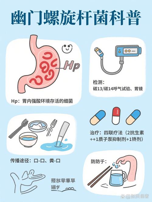 儿童感染幽门螺旋杆菌怎么办？家长该如何科学应对与预防？-第2张图片-郑州医学网