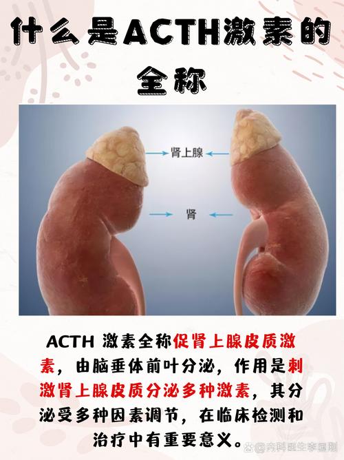 儿童促肾上腺皮质激素水平异常，可能预示哪些健康问题？-第3张图片-郑州医学网