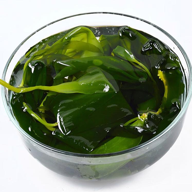 备孕期间吃海带到底行不行？对胎儿发育会有影响吗？-第1张图片-郑州医学网