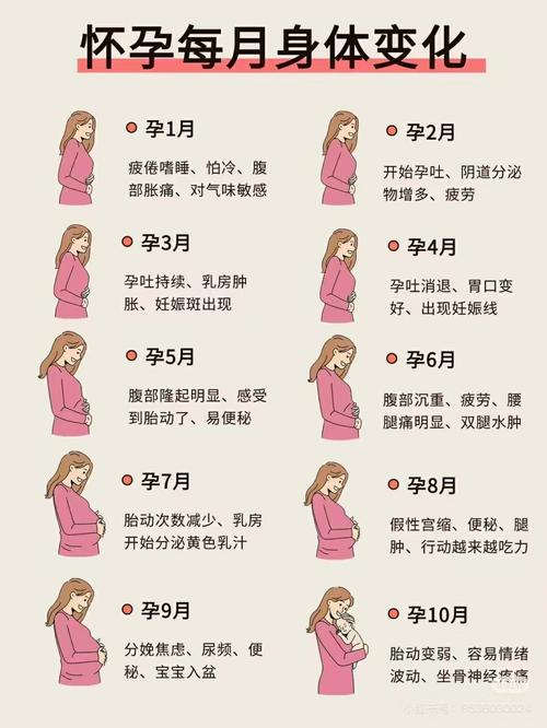 如何利用怀孕期间丰胸-第3张图片-郑州医学网 如何利用怀孕期间丰胸-第3张图片-郑州医学网