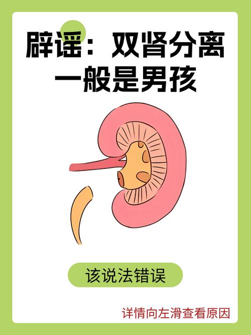 新生儿双肾分离是异常信号吗？需要干预吗？-第3张图片-郑州医学网