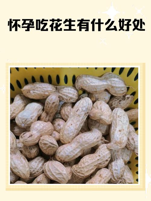 孕期吃花生对胎儿发育真的有益吗？有哪些潜在风险需要注意？-第1张图片-郑州医学网