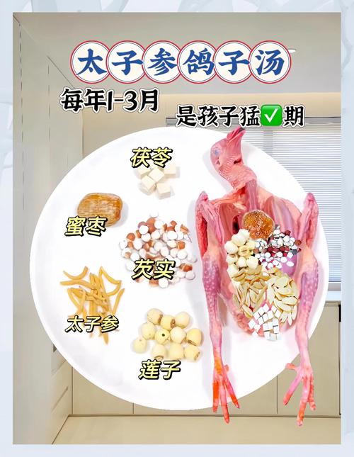 儿童清炖鸽子汤怎么做?食材搭配、炖煮时间与营养秘诀全解析-第3张图片-郑州医学网 儿童清炖鸽子汤怎么做?食材搭配、炖煮时间与营养秘诀全解析-第3张图片-郑州医学网