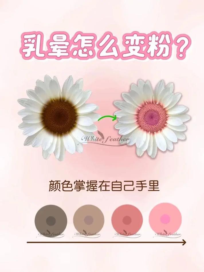 孕期乳晕颜色变深真能判断胎儿性别？科学依据还是民间误解？-第2张图片-郑州医学网