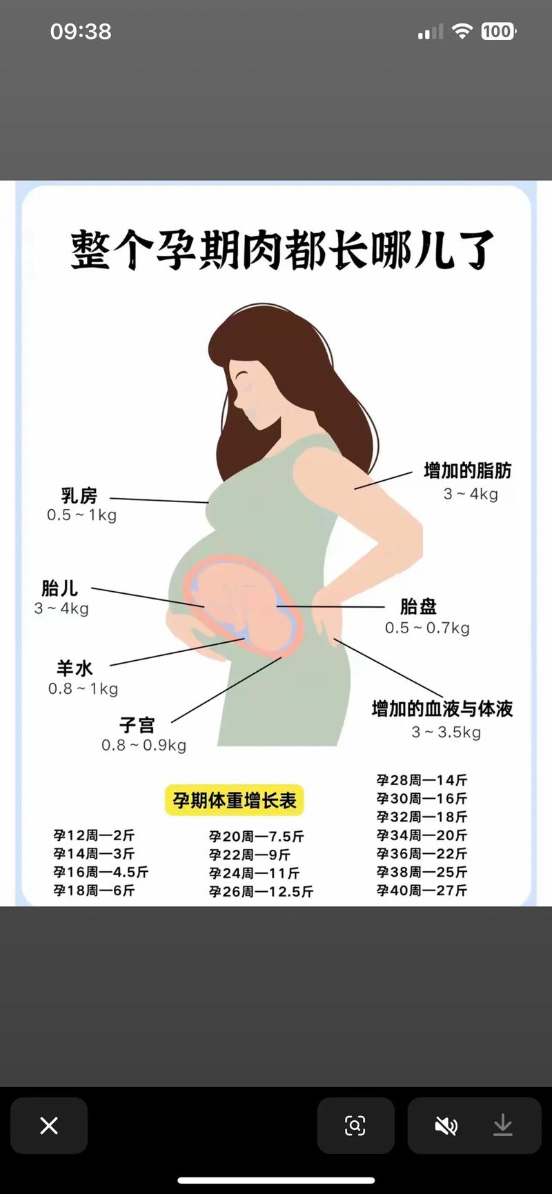 孕期为何大腿脂肪堆积易超标？激素变化与代谢调整如何共同作用？-第2张图片-郑州医学网