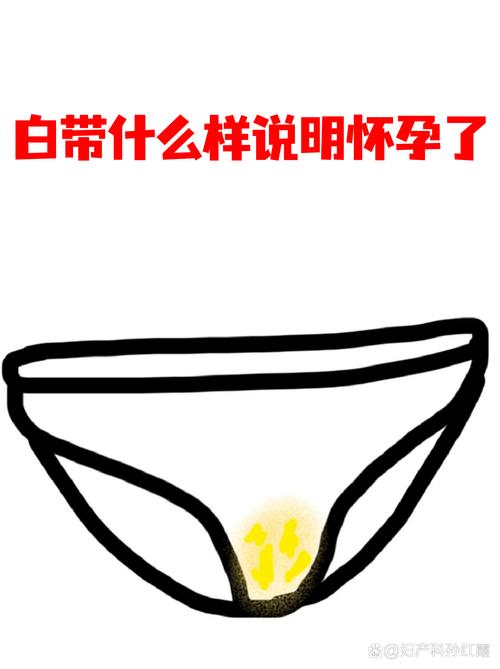 孕期白带量多少真能判断胎儿性别？科学依据在哪里？-第2张图片-郑州医学网