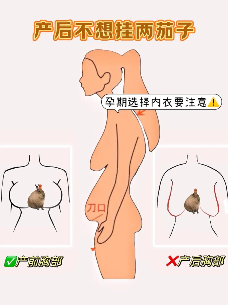 孕期乳房变大真的能判断胎儿性别吗？科学依据是什么？-第3张图片-郑州医学网