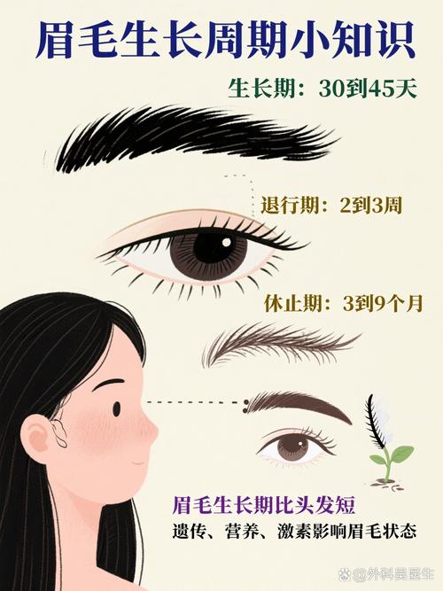 孕期眉毛变淡真能判断生男生女？科学依据是什么？-第2张图片-郑州医学网