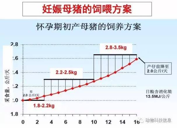 母猪孕期不食的诱因有哪些？如何科学治疗保障胎儿健康？-第2张图片-郑州医学网