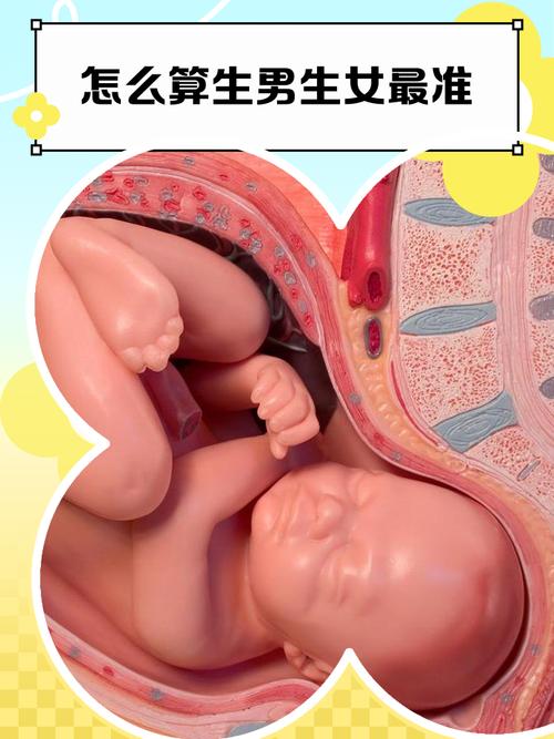 孕期频繁放屁真能判断胎儿性别？科学依据在哪里？-第2张图片-郑州医学网