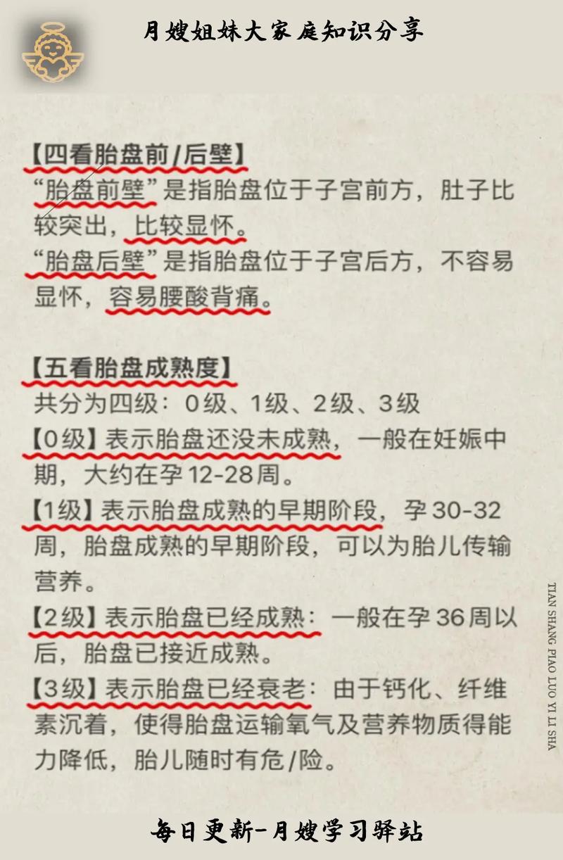 国家免费孕期检查项目-第1张图片-郑州医学网