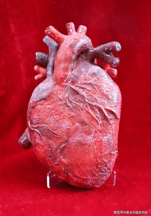 新生儿下体流红色液体是正常现象还是疾病信号？需紧急就医吗？-第1张图片-郑州医学网