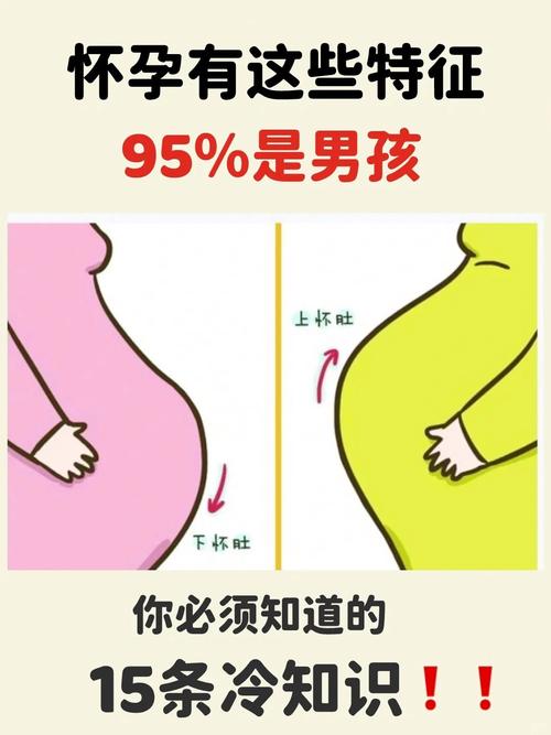 孕期胎儿心跳快真能判断男女？科学依据还是民间误解？-第2张图片-郑州医学网