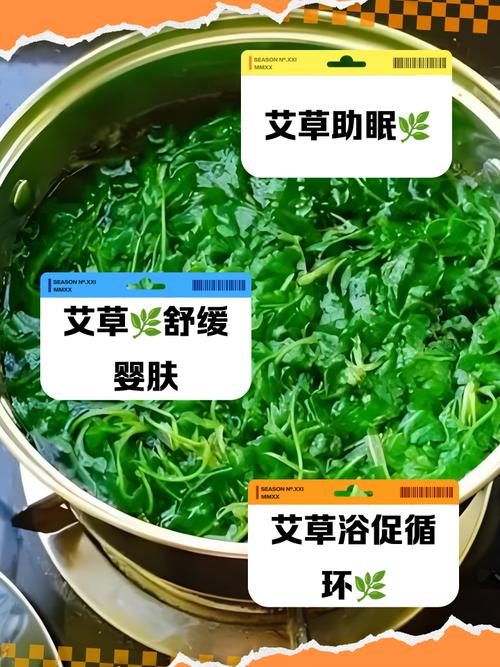 新生儿用艾草水洗澡真能防痱子、止痒吗？对娇嫩肌肤真的安全吗？-第3张图片-郑州医学网